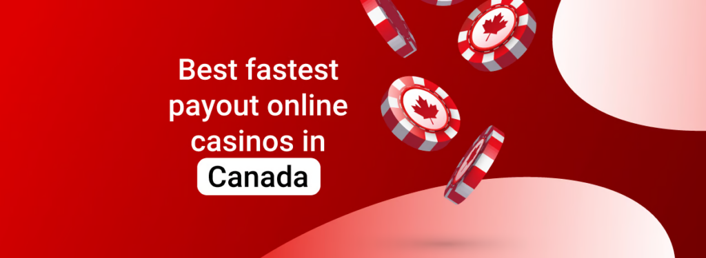 Top Canadian Payout Casinos for November 2024